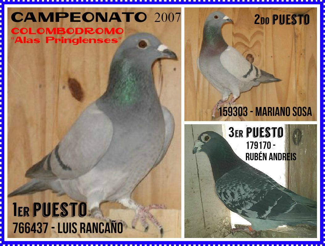 palomcamp07